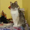 Отзыв от Анжелика Егорова